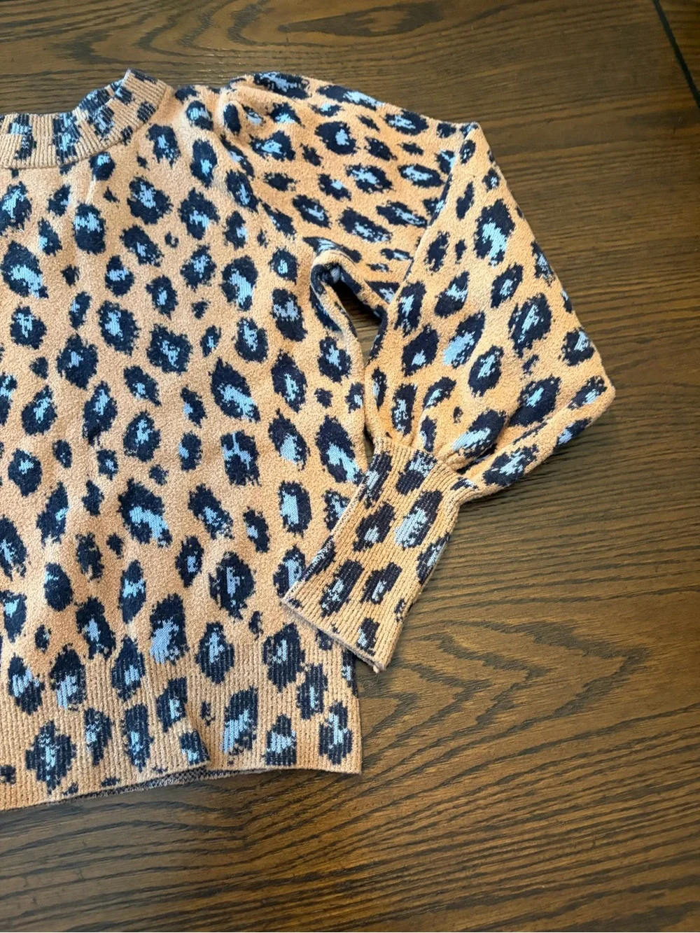 Leopard Print Sweater in Tan and Blue